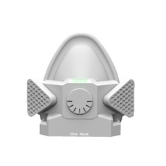 Respitronics Mask
